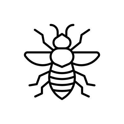 Insects