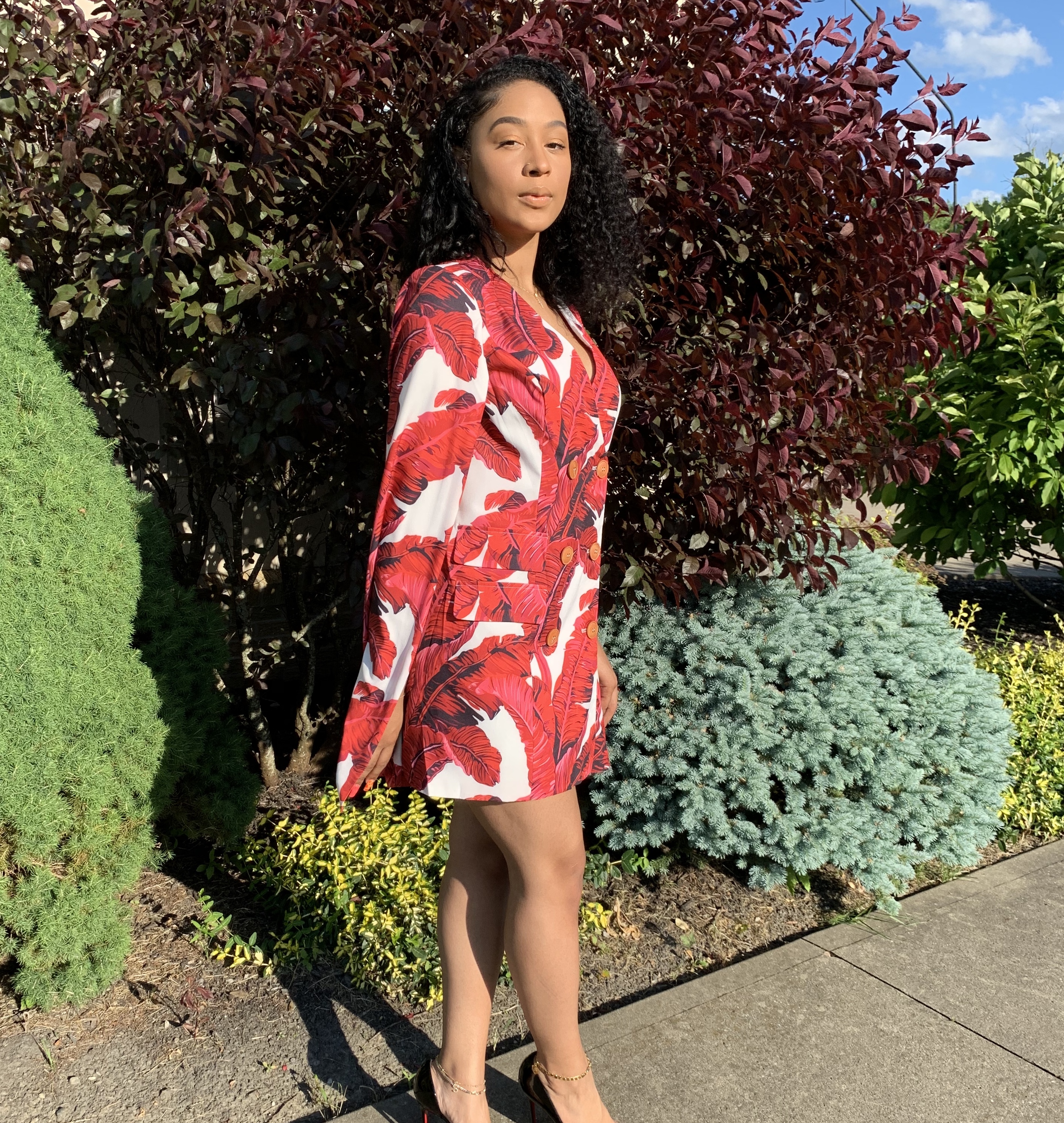 Daniela Cape Double Breasted Dress