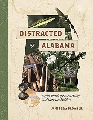 Distracted by Alabama, Brown
