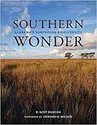 Southern Wonder, Duncan