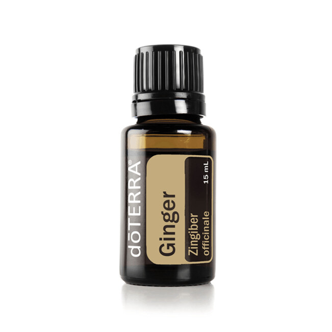 Ginger essential oil