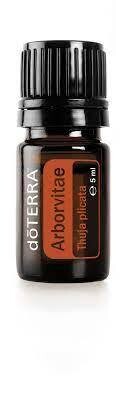 Arborvitae essential oil