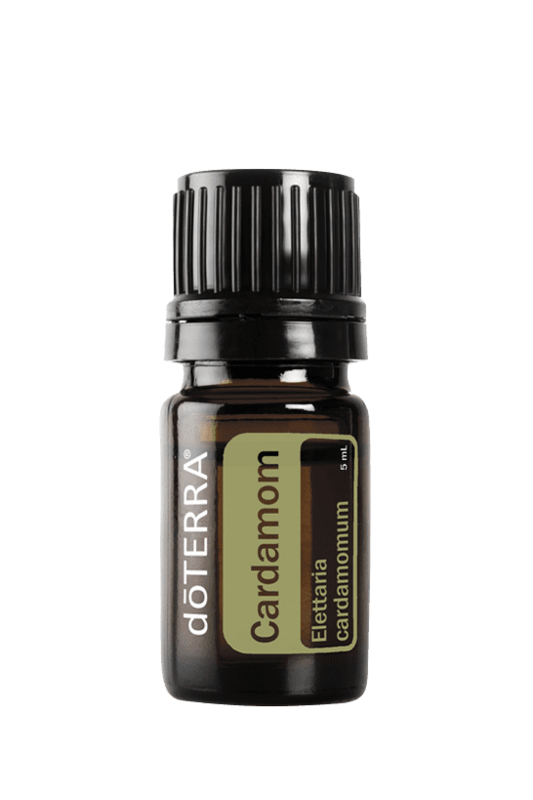 Cardamom essential oil
