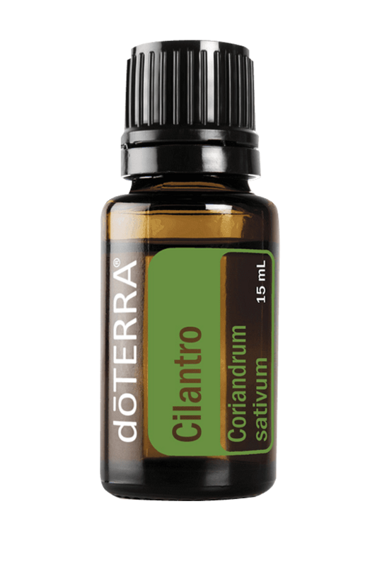 Cilantro essential oil