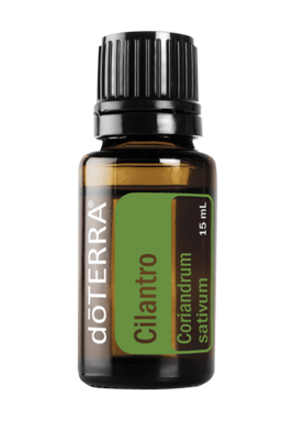 Cilantro essential oil