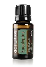 Eucalyptus essential oil