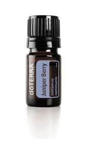 Juniper Berry essential oil | dreamtime