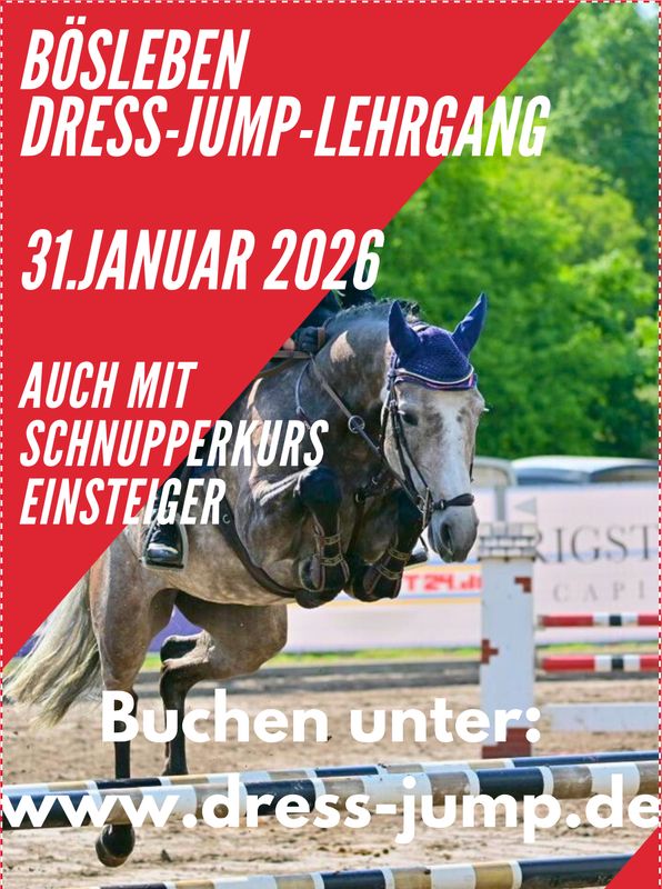 31. Januar - Dress-Jump Lehrgang 2026
