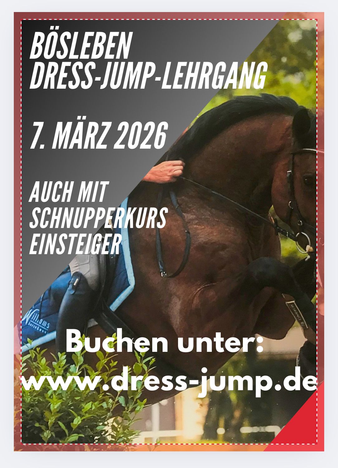 7. März 2026 - Dress-Jump Lehrgang 2026 7. März 2026 - Dress-Jump Lehrgang 2026