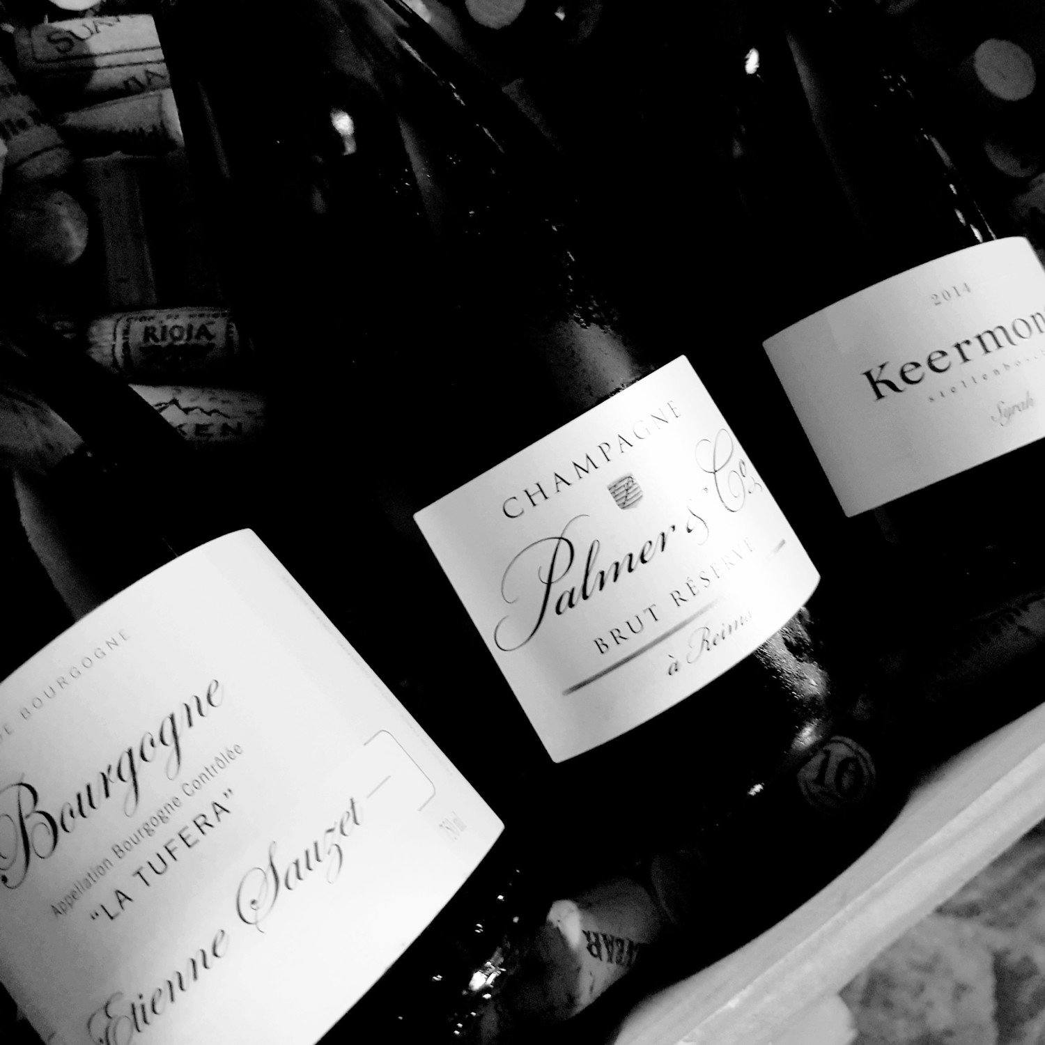The Bee&#39;s Knees Case - 3 Bottle
