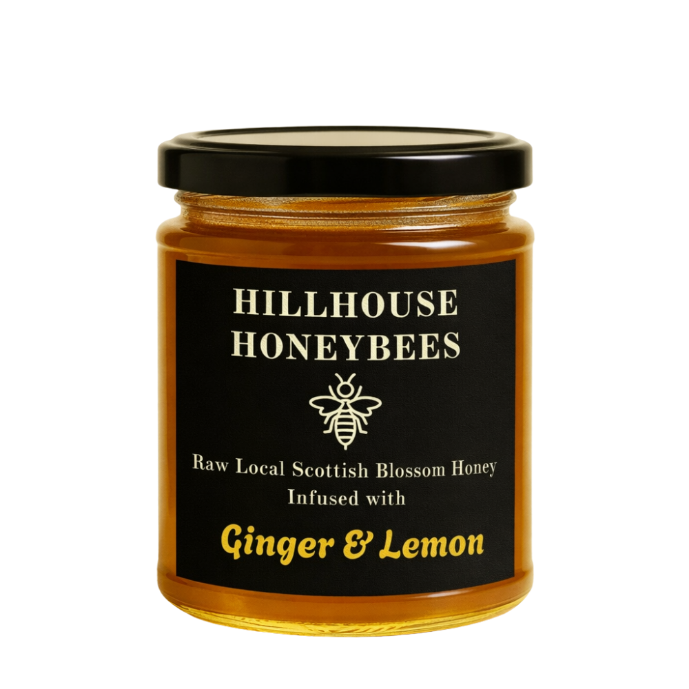 Ginger & Lemon Infused Honey (230g)