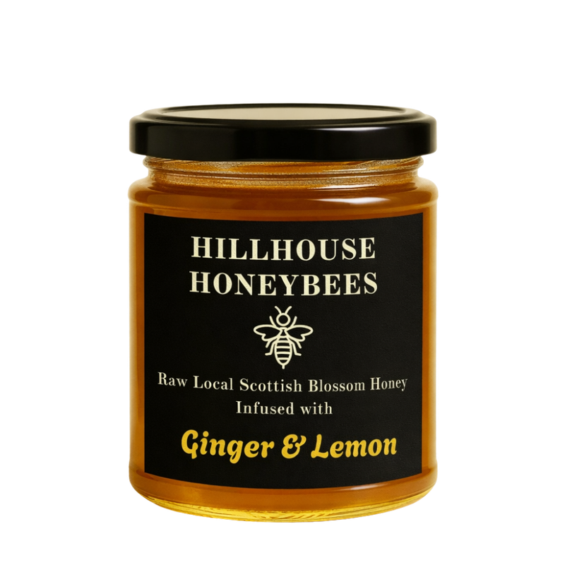 Ginger & Lemon Infused Honey (230g)