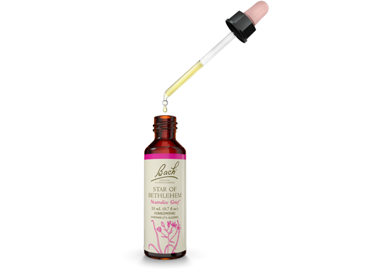 Bach Flower Remedies - Essence Star Of Bethlehem - 20 ml