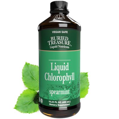 Buried Treasure - Liquid Chlorophyll Spearmint - 16 oz