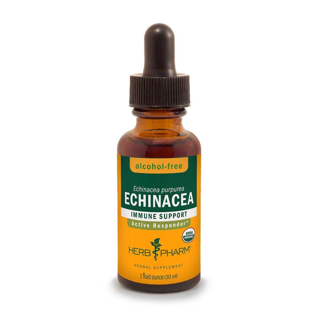 Herb Pharm - Echinacea Immune Support Alcohol Free - 1 oz