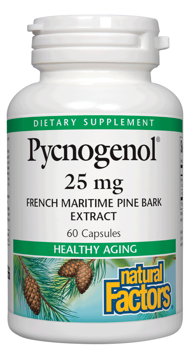 Natural Factors - Pycnogenol Pine Bark 25 mg - 60 Capsules