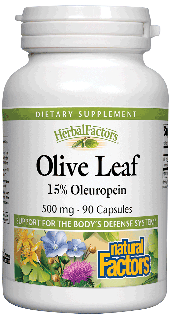 Natural Factors - Olive Leaf 500 mg 15% Oleuropein - 90 Veg Capsules