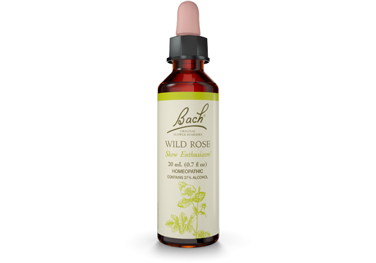 Bach Flower Remedies - Essence Wild Rose - 20 ml