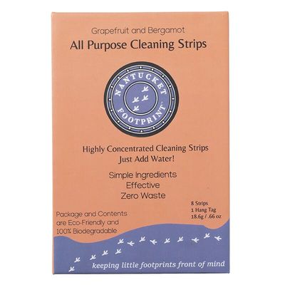 Nantucket Spider - All Purpose Cleaning Strips