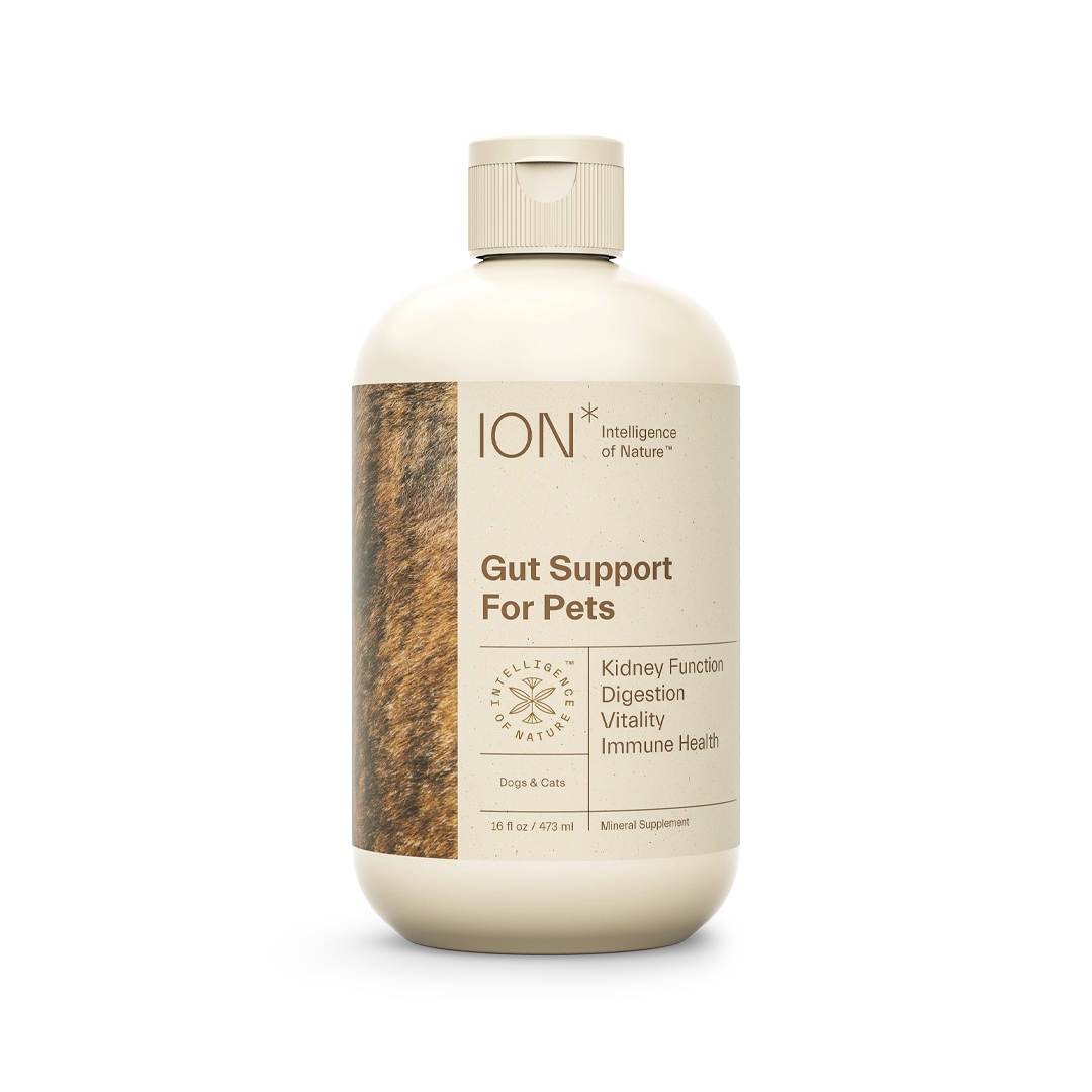 Ion Biome - Gut Support for Pets - 16 oz