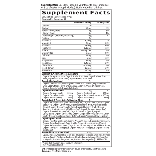 Garden of Life - Raw Organic Perfect Food Alkalizer &amp; Detoxifier Lemon-Ginger - 10 oz