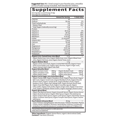 Garden of Life - Raw Organic Perfect Food Alkalizer & Detoxifier Lemon-Ginger - 10 oz