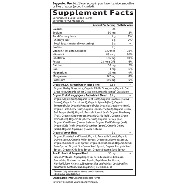 Garden of Life - Raw Organic Perfect Food Green Superfood Original - 8.5 oz