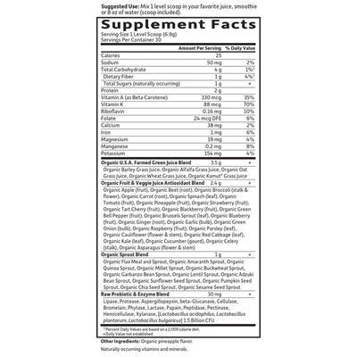 Garden of Life - Raw Organic Perfect Food Green Superfood Original - 8.5 oz