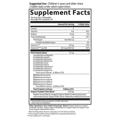 Garden of Life - Dr. Formulated Kids Probiotics 5 Billion Watermelon - 30 Chewables