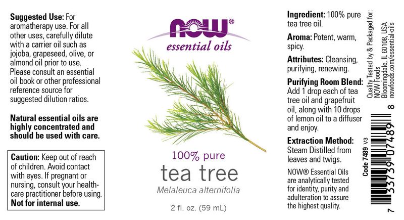 Now - Tea Tree Oil - 2 oz