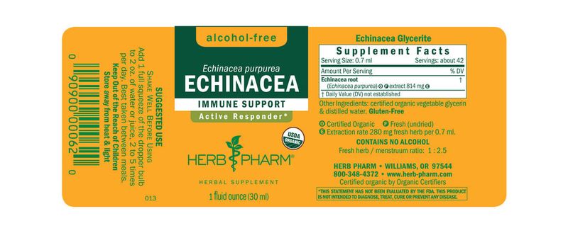 Herb Pharm - Echinacea Immune Support Alcohol Free - 1 oz