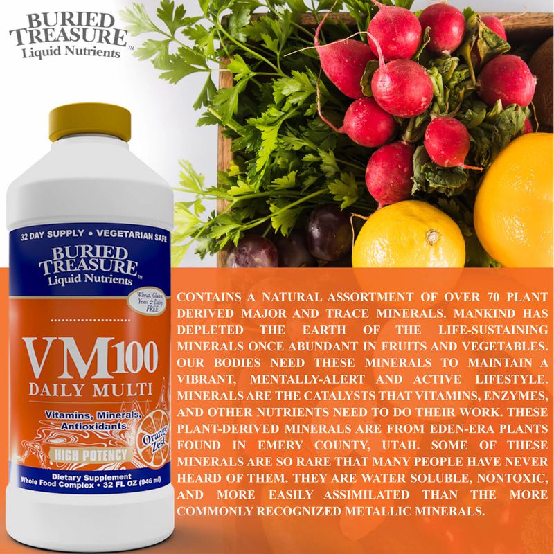 Buried Treasure - VM 100 Daily Multivitamin - 32 oz