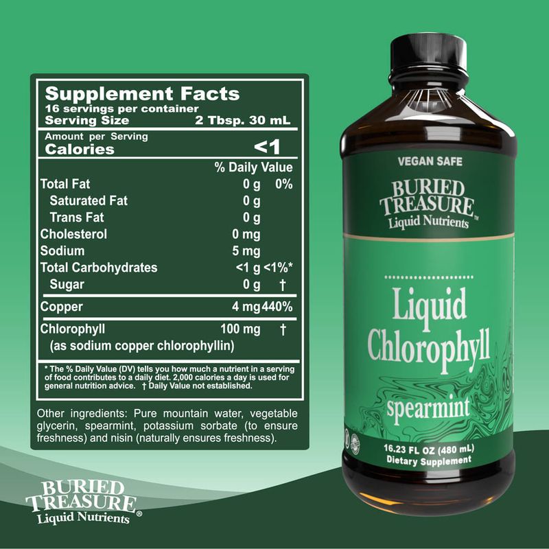Buried Treasure - Liquid Chlorophyll Spearmint - 16 oz