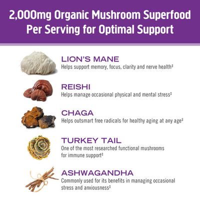 Om - Box of Mushroom Hot Chocolate Blend - 10 Pack