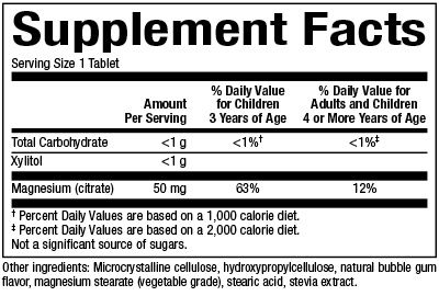 Natural Factors - Bigfriends Magnesium Citrate 50 mg Chewable - Bubble Gum - 60 Tablets