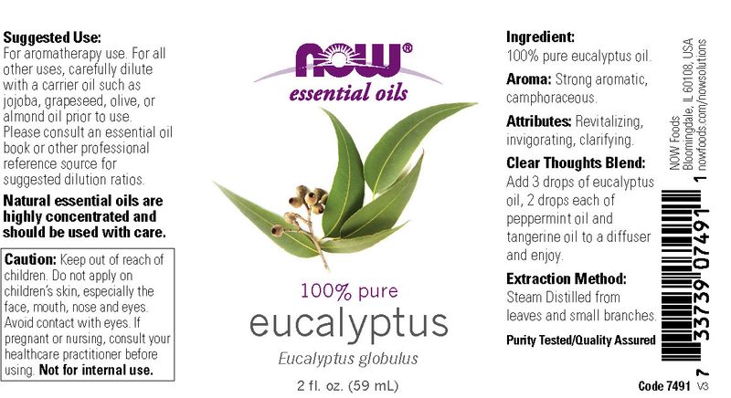 Now - Eucalyptus Oil - 2 oz