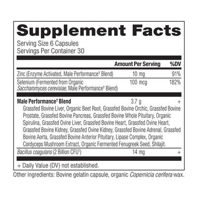 Ancient Nutrition - Mens Performance Blend Glandular - 180 Capsules