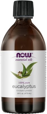 Now - Eucalyptus Oil - 16 oz