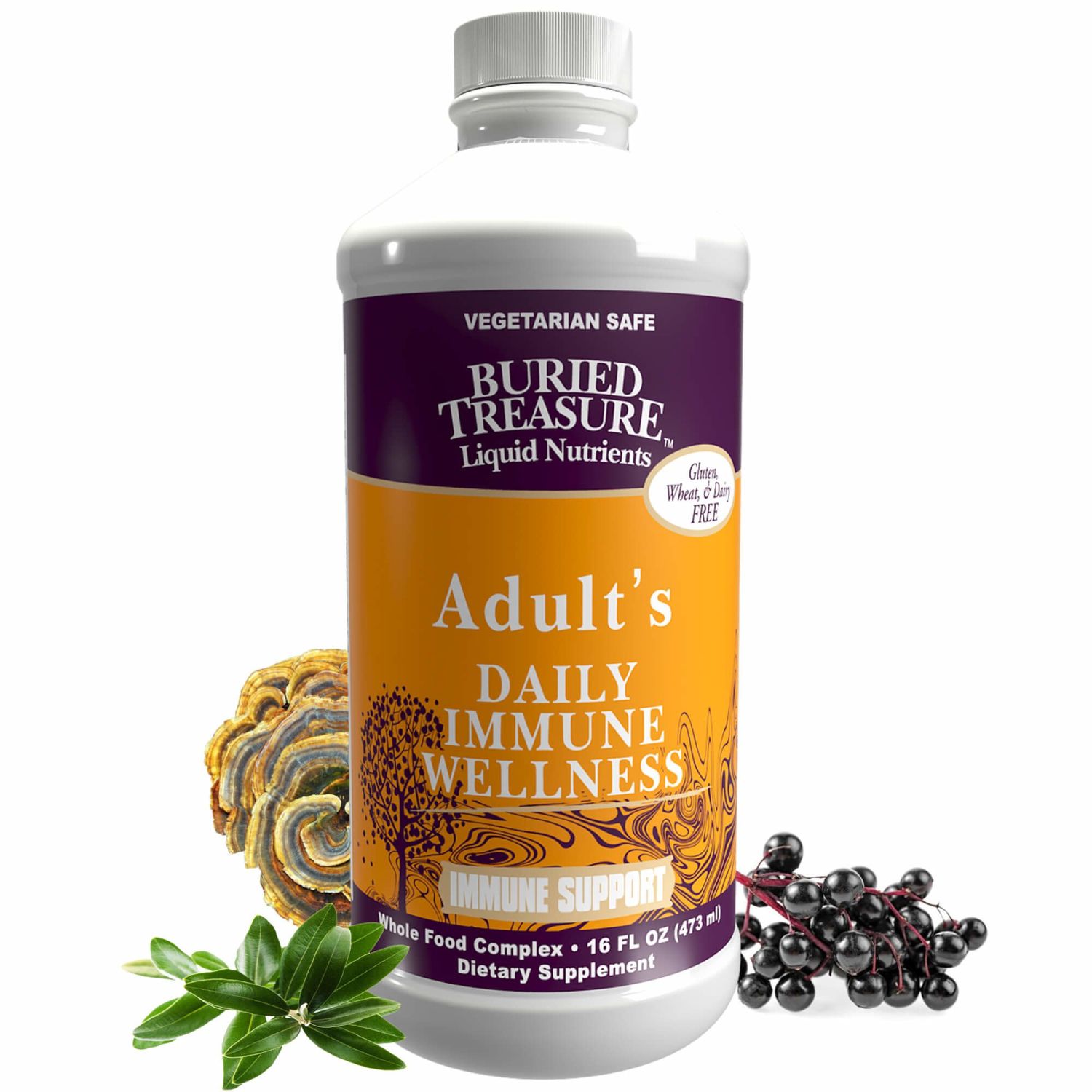 Buried Treasure - Adult's Daily Immune Wellness - 16 fl oz