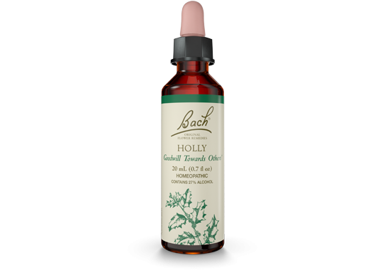 Bach Flower Remedies - Essence Holly - 20 ml