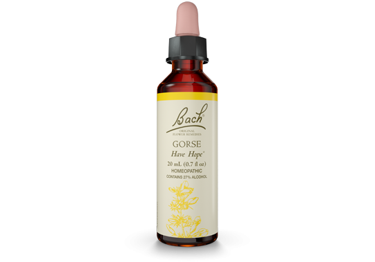 Bach Flower Remedies - Essence Gorse - 20 ml