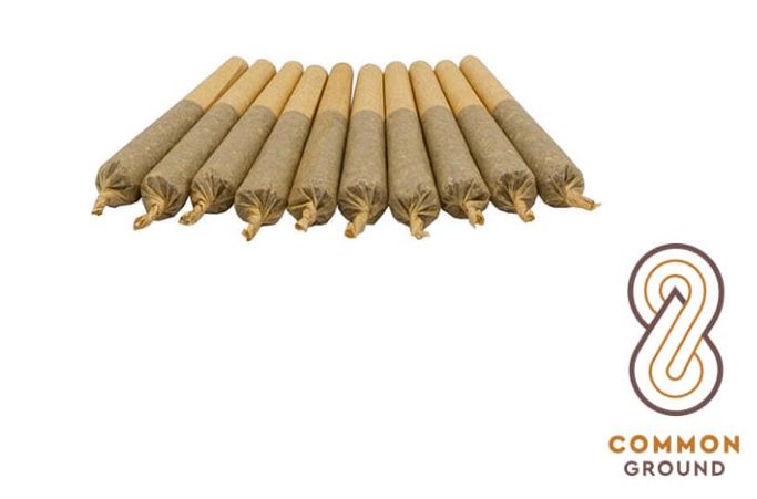 Amherst Sour Diesel, Common Ground (10x0.5g) Pre-Rolls