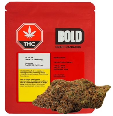 Orange Crush, BOLD (3.5g) Dried Flower