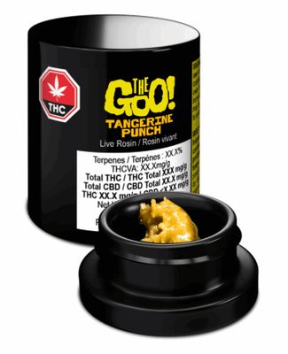 Tangerine Punch, The Goo! (1g) Live Rosin