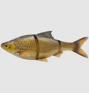 Savage Gear 3D Line Thru Roach 25 cm 206 g SS glitter bream