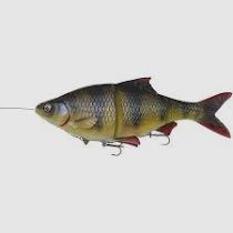 Savage Gear 4D LT Roach 18 cm 86 g MS perch