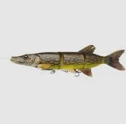 Savage Gear 4D LT Pike 48 cm 820 g SS  dotted pike