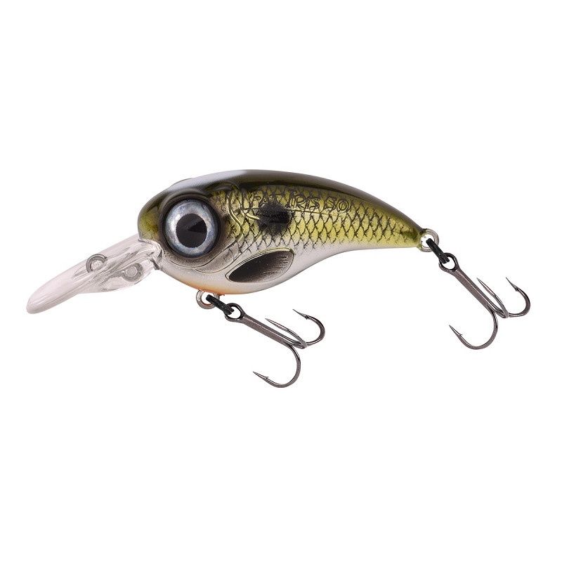 Spro Fat Iris 60 Crank 18 g shad