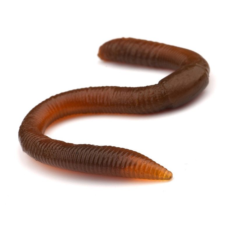 Freestyle Twitch Worm Natural Brown