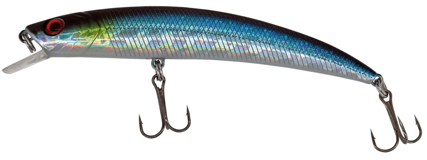 Albatros Catch21 Curio 11.5 cm C6